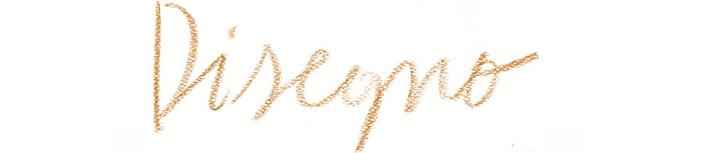 Disegno