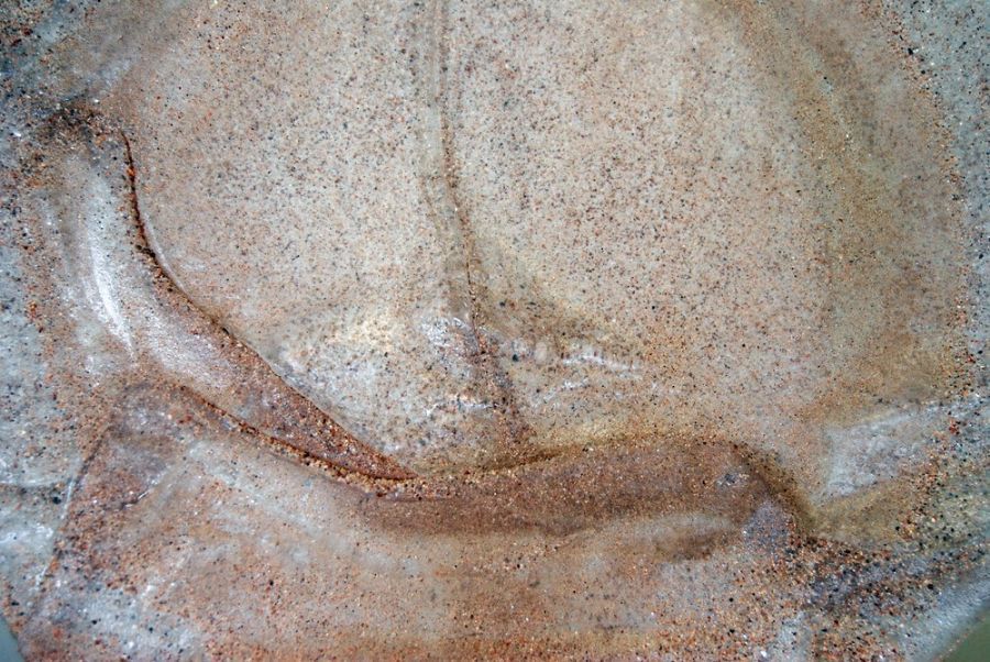 Cenere alla cenere